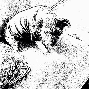 Meet your Posher, Laurie